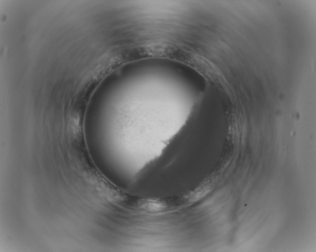 X0000089880610200706281351