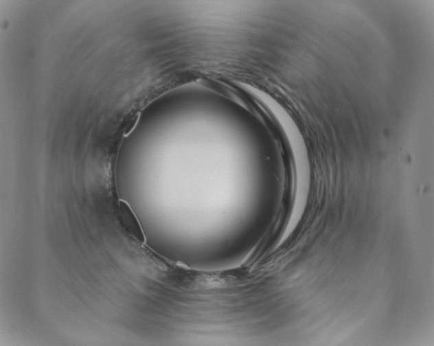 X0000089880613200706281351