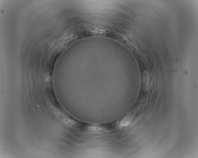 X0000089880614200706281351