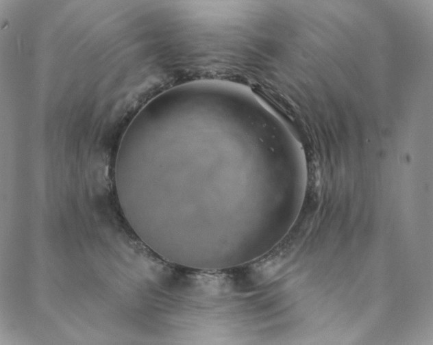 X0000089880615200706281351