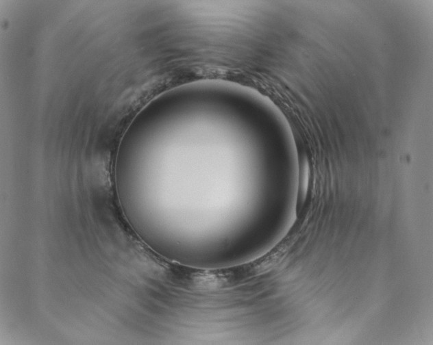 X0000089880616200706281351