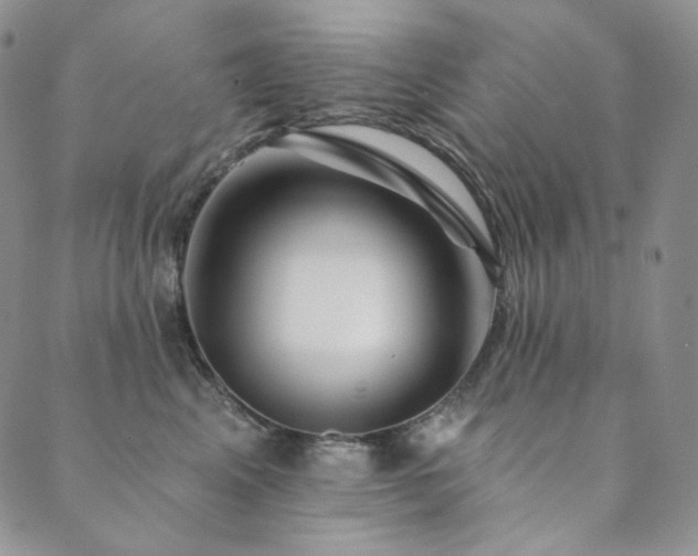 X0000089880617200706281351