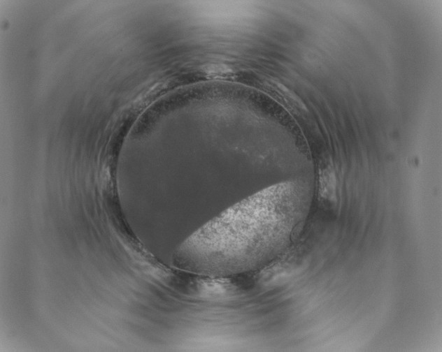 X0000089880618200706281351