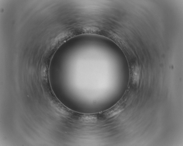 X0000089880619200706281351