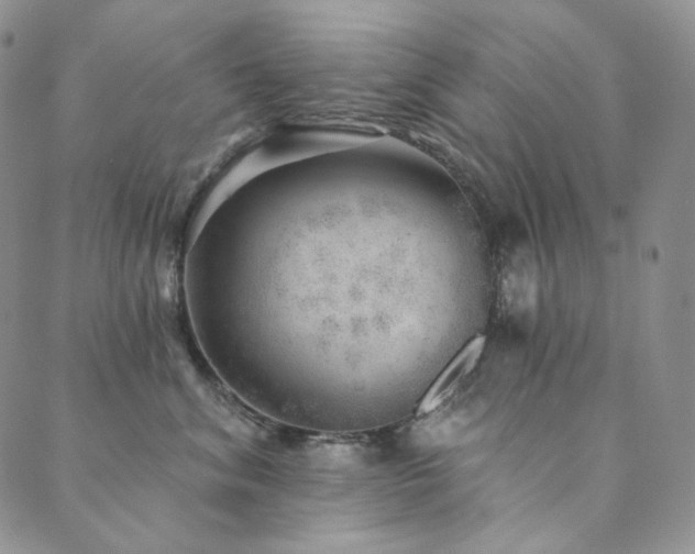 X0000089880620200706281351