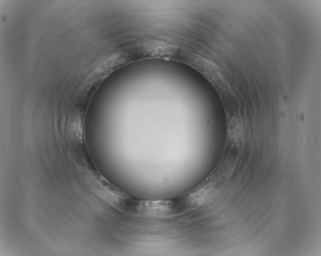 X0000089880622200706281351