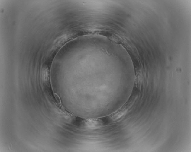 X0000089880623200706281351