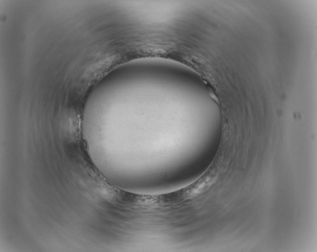 X0000089880624200706281351