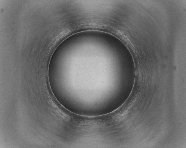 X0000089880625200706281350