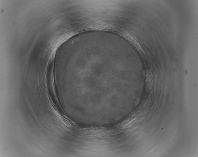 X0000089880626200706281350