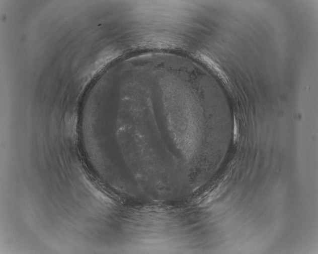 X0000089880627200706281350