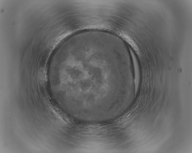 X0000089880628200706281350