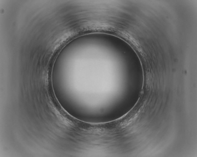 X0000089880629200706281350