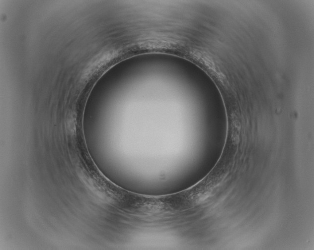 X0000089880631200706281350