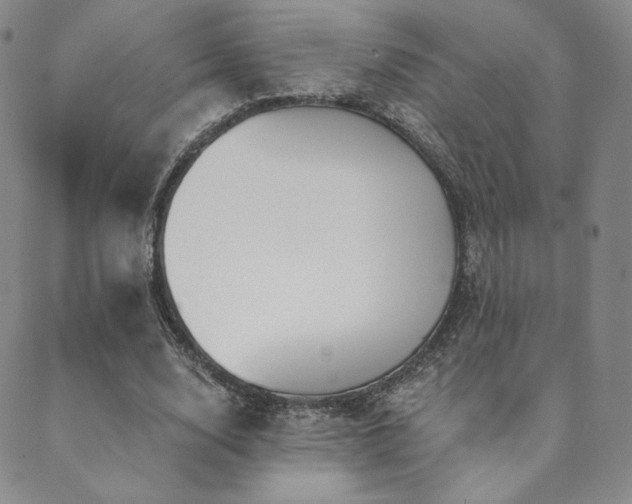 X0000089880632200706281350