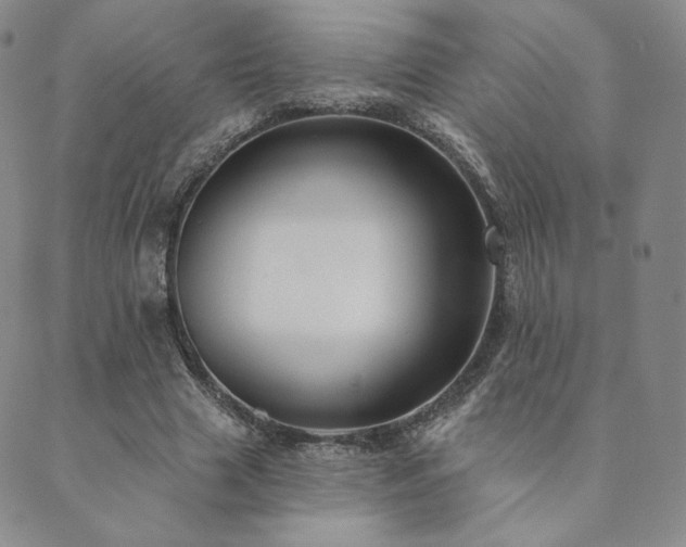 X0000089880633200706281350