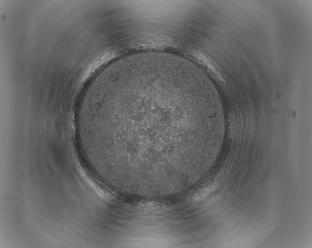 X0000089880634200706281350