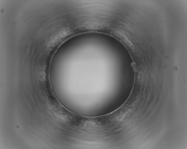 X0000089880635200706281350