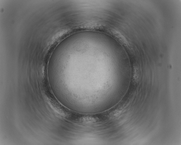 X0000089880636200706281350