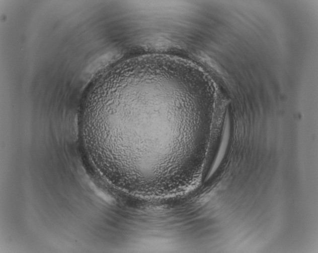 X0000089880638200706281350