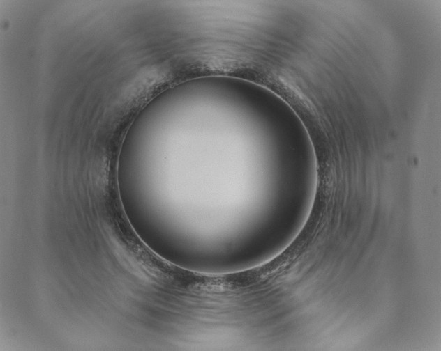 X0000089880639200706281350