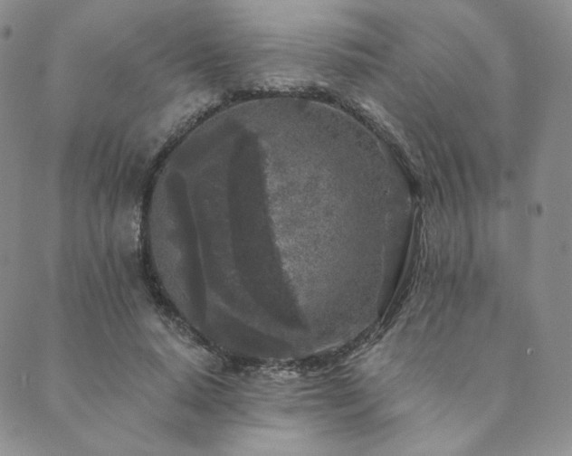 X0000089880640200706281350