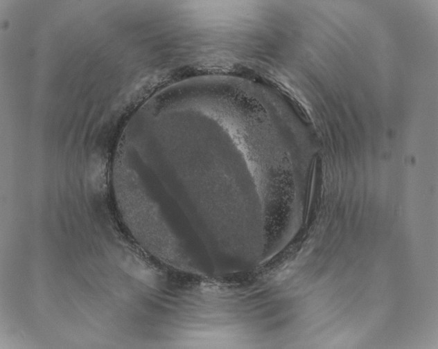 X0000089880641200706281350