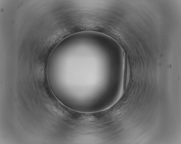 X0000089880642200706281351