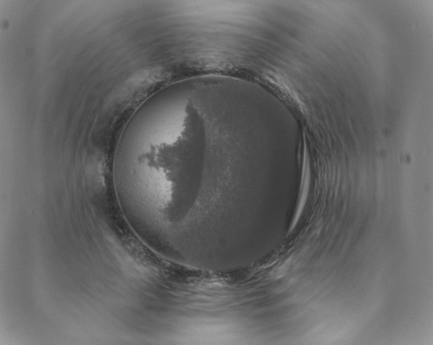 X0000089880643200706281351