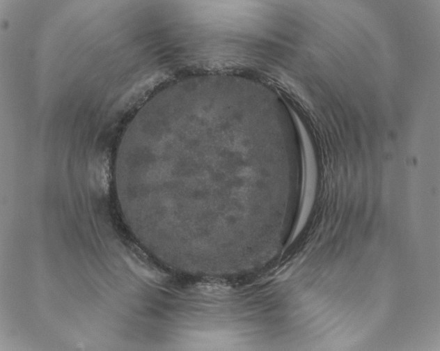 X0000089880644200706281351