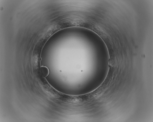 X0000089880646200706281351