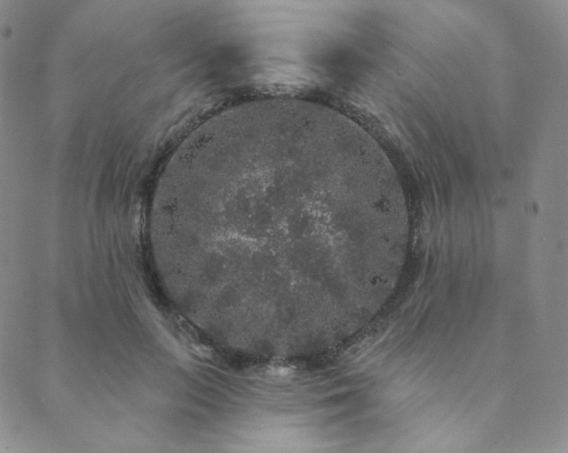 X0000089880647200706281351