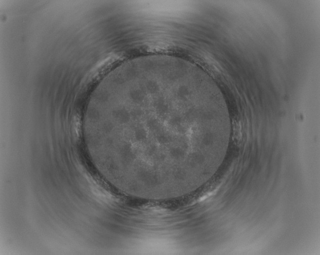 X0000089880648200706281351