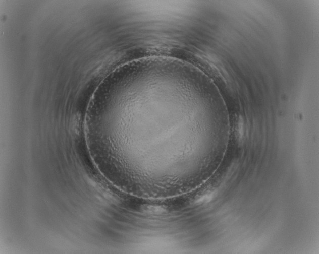 X0000089880649200706281351