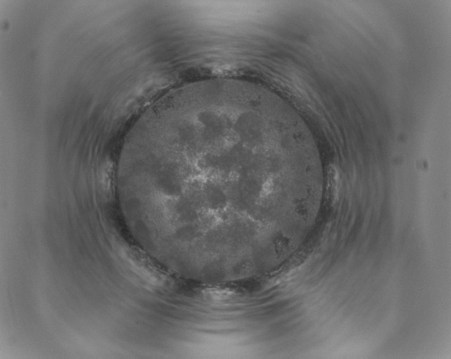 X0000089880650200706281351