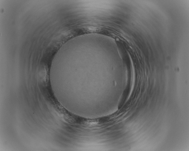 X0000089880651200706281351