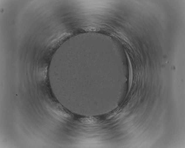 X0000089880652200706281351