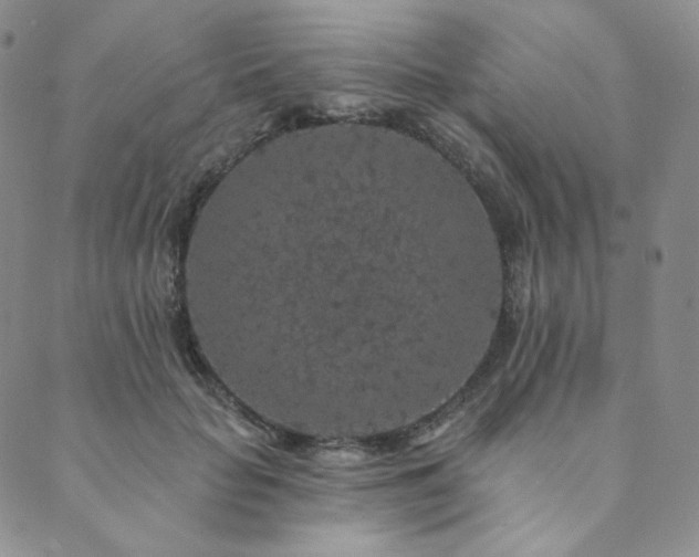 X0000089880653200706281351