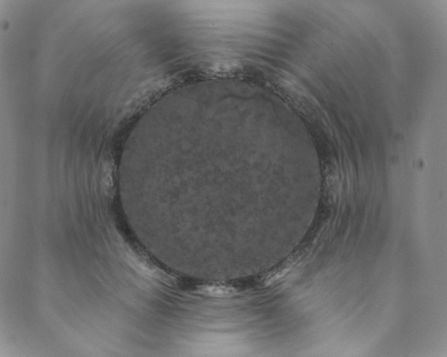 X0000089880654200706281351