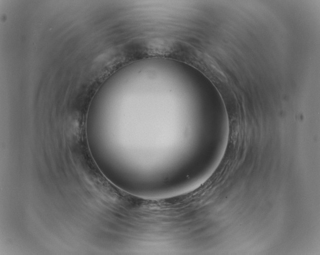 X0000089880655200706281351