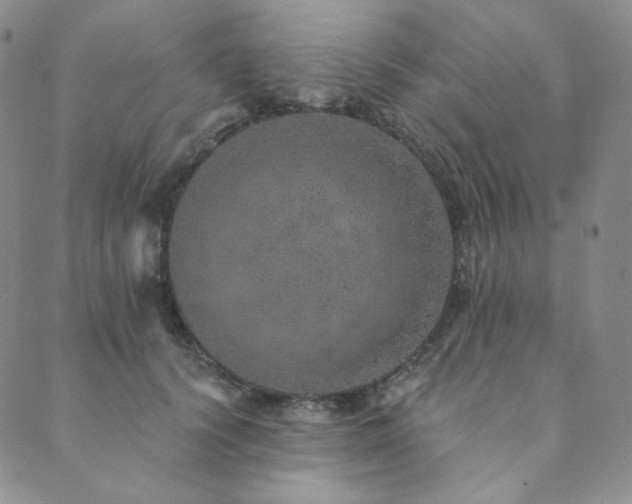 X0000089880656200706281351