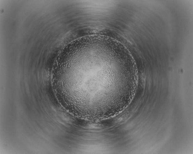 X0000089880657200706281351