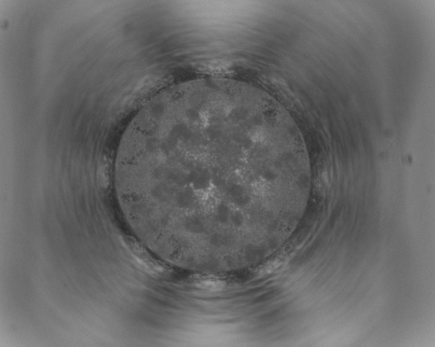 X0000089880658200706281351