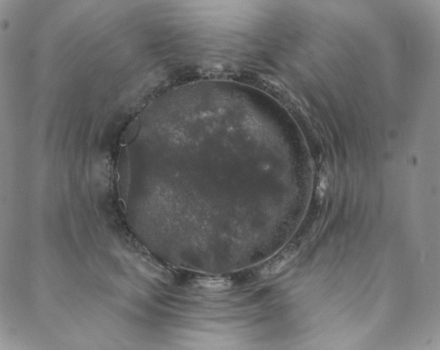 X0000089880659200706281351