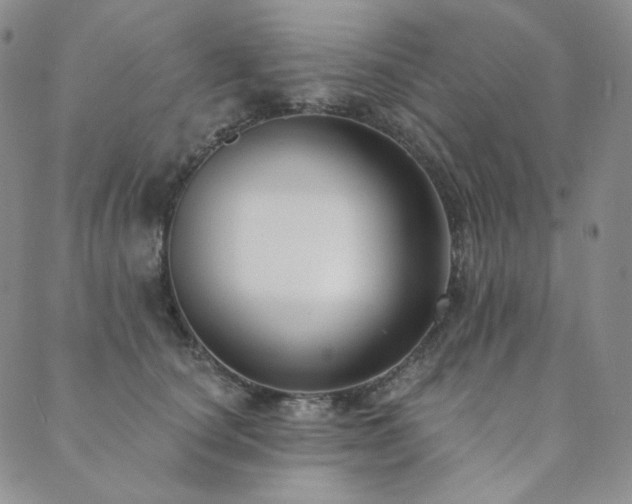 X0000089880660200706281351