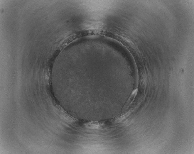 X0000089880661200706281351