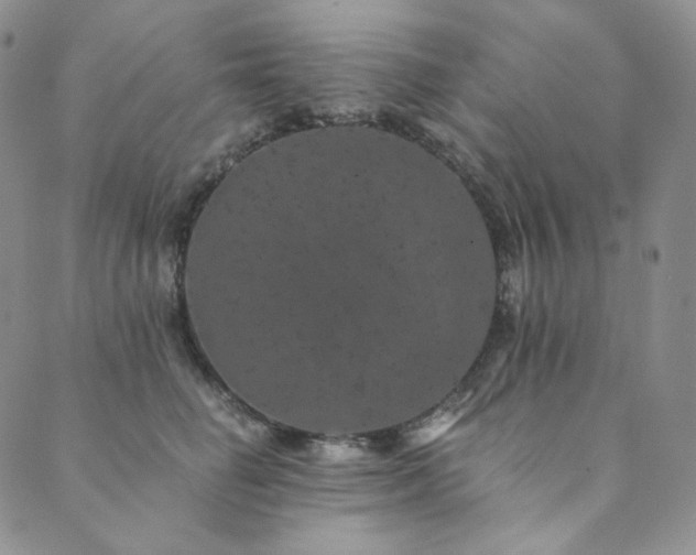 X0000089880662200706281351