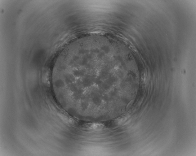 X0000089880663200706281351