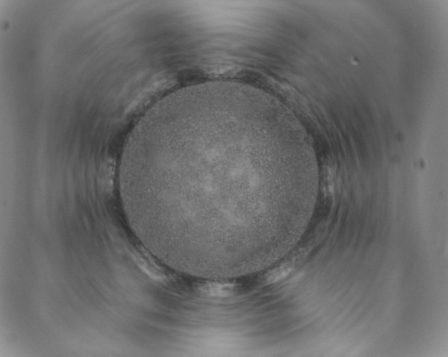 X0000089880664200706281351