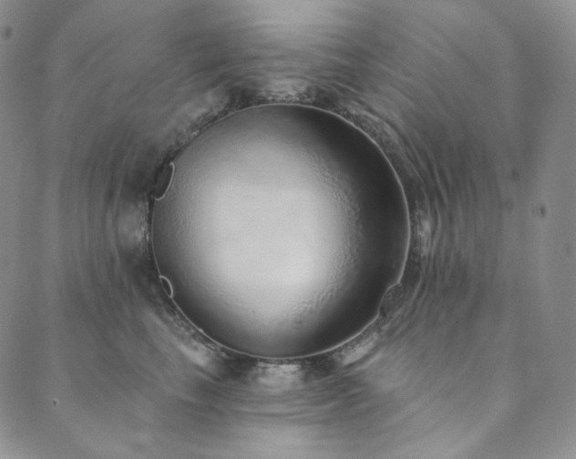 X0000089880665200706281351